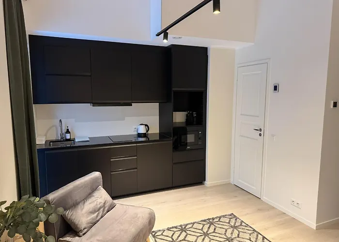 Hermanni Korter Appartement Tallinn